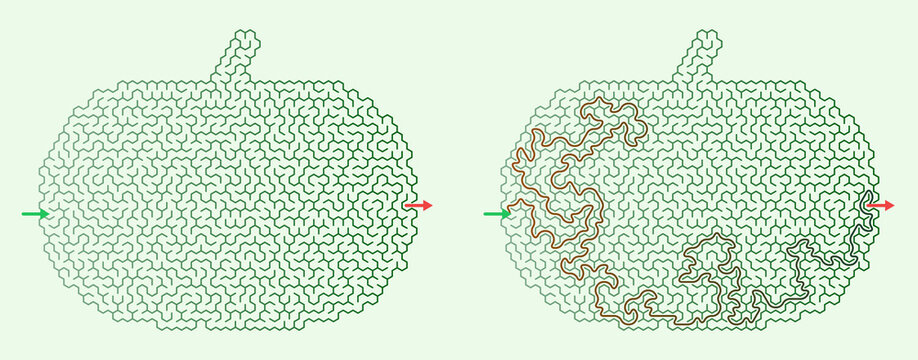Abstract maze design representing a pumpkin shape in green and brown colors.