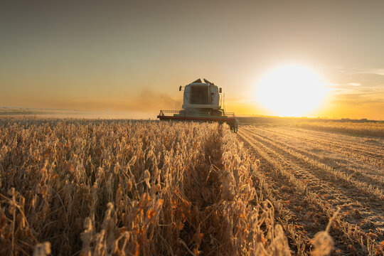   Kombine harvester that is harvesting soybeans