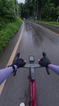 A cyclist navigates a wet road surrounded by lush greenery and an overcast sky, capturing the essence of tropical adventure.