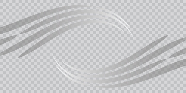 Abstract dynamic white speed trails vector illustration with curved motion lines and transparent wind wave flows