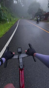 A cyclist's view on a foggy mountain road, surrounded by lush greenery, showcasing the thrill of outdoor biking adventures.