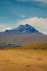 Fototapeta premium Cotopaxi volcano peak over golden grassy field in Ecuador