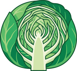 Obraz premium Cross section of a vibrant green cabbage showing layered leaves and core structure