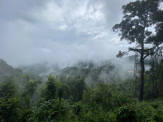 Low clouds drifting through a dense subtropical mountain forest © M
