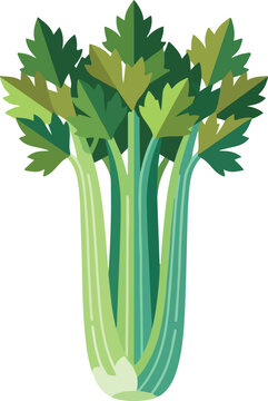 Fresh green celery stalks healthy vegetable ingredient