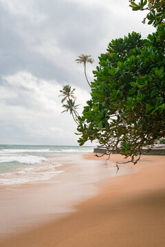 Scenic tropical sandy beach shoreline with lush green foliage and leaning palm trees under cloudy sky