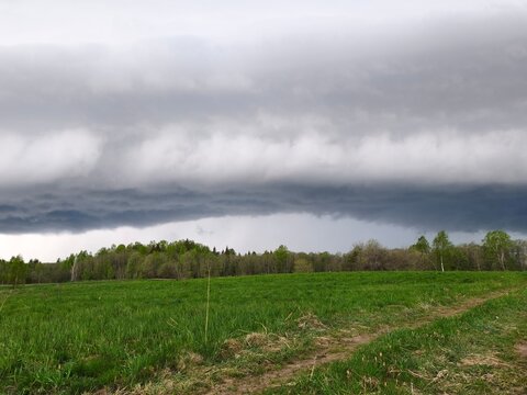 Distant heavy rain shaft and storm wall over a forest and green field