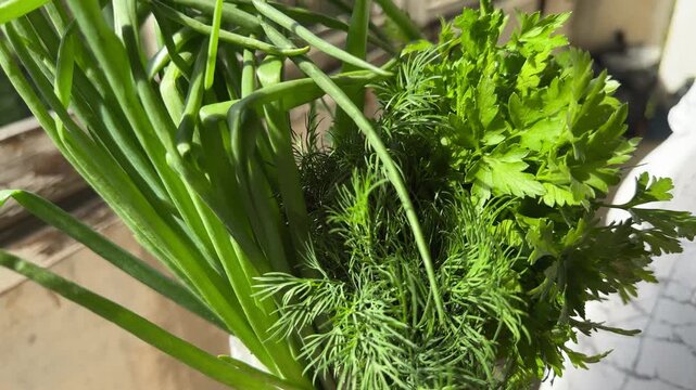 Fresh green herbs bundle with green onions, dill and parsley. Close up of aromatic culinary herbs, healthy cooking ingredients, natural organic produce