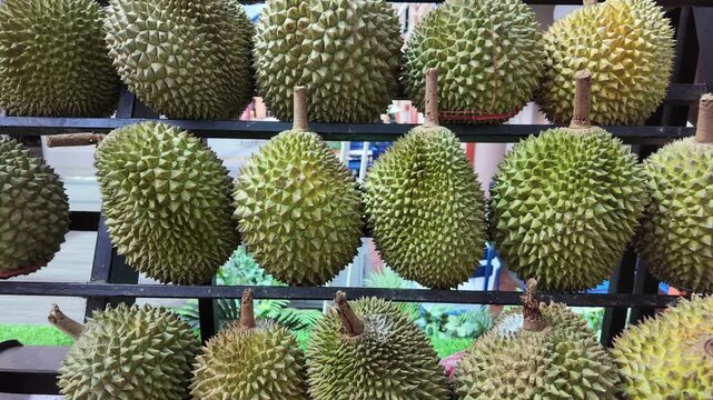 Market display of fresh durians in Southeast Asia
