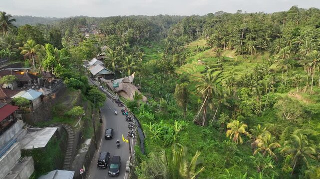 Aerial view of the Ubud Tegalalang Rice Terraces in Bali, Indonesia