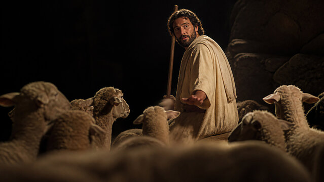 Jesus as good shepherd with staff surrounded by sheep in dark sheepfold at night. Man calling his flock by name. Biblical parable of Christ caring for and protecting his sheep with abundant life