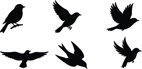 Fototapeta premium Elegant black bird silhouettes in various flight positions and perched on branch isolated on white background