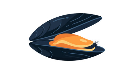 Opened mussel shell with orange meat inside flat vector illustration © Design Bari