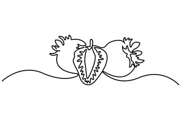 Fototapeta premium Strawberry continuous one line art botanical fruit illustration minimalist outline design.Fresh strawberry continuous line art minimalist botanical outline vector.&nbsp;summer berry fruit.
