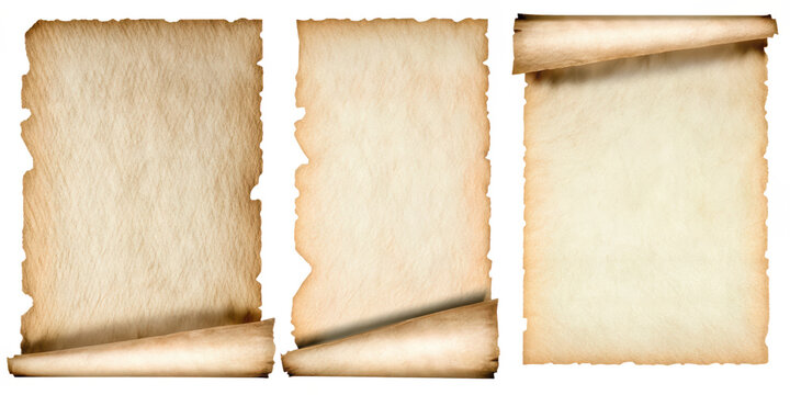 Three aged parchment scrolls with torn edges and rolled bottoms on a white background with colorful abstract accents