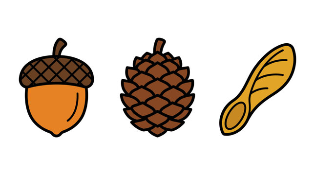 Vector autumn forest seeds icon set featuring acorn pinecone and maple samara tree seed illustrations