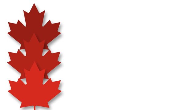 Red Canadian maple leaves stacked vertically on white background with copy space.