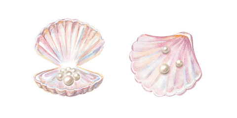 Pink seashell collection with natural white pearl beads and shiny nacre luster. Hand drawn watercolor illustration isolated on. Realistic scallop sea shell graphic art drawing © Mariia