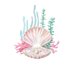 Open pink seashell with nacre luster holds single natural white pearl. Underwater marine scene with corals and seaweeds. Watercolor illustration isolated on © Mariia