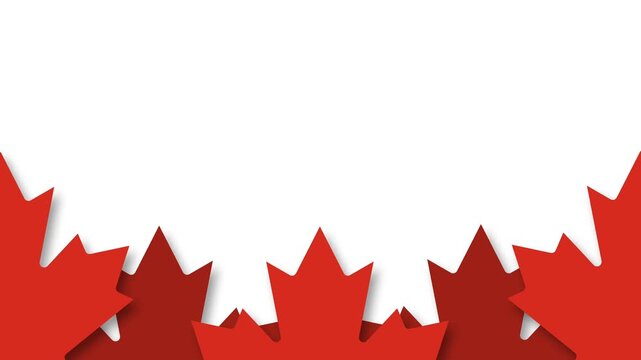 Red Canadian Maple Leaves Frame Border Background Motion Graphic Animation.