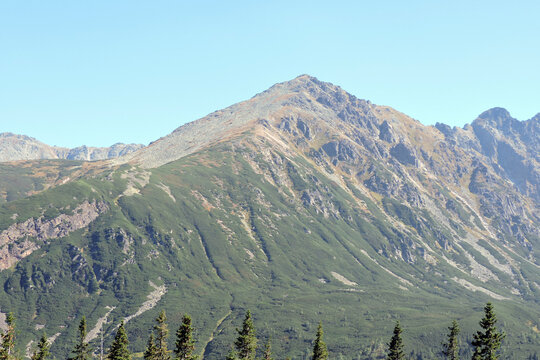 Rocky peak of Ż&oacute;łta Turnia mountain rising behind spruce trees, Tatra Mountains in Poland