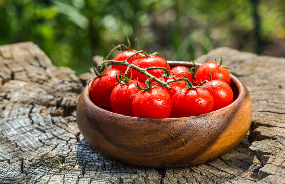 Cherry tomatoes in plate on old wooden surface, space for text.