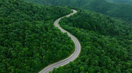 Fototapeta premium Aerial view of a winding asphalt road through a lush green forest