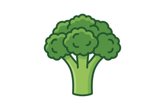 Broccoli Vegetable Vector Illustration