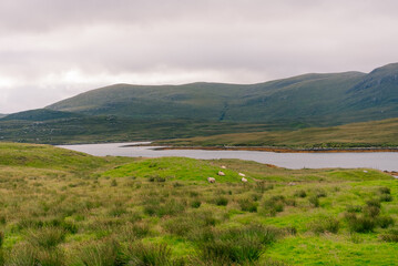 Abandoned traditional croft house at Airidh a Bhruaich on Loch Seaforth, Isle of Lewis, Outer Hebrides, Scotland, UK - 4 September 2026 © IBRESTER