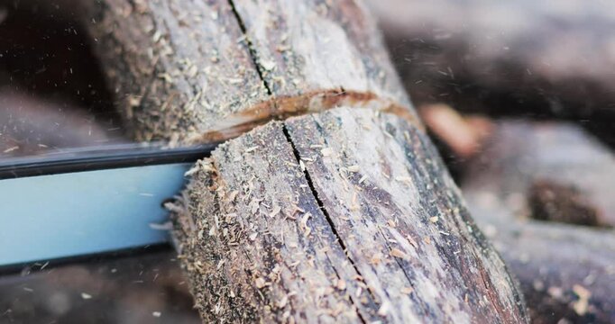 Chainsaw cutting through a wooden log with flying sawdust, showing woodworking, logging, power tools and outdoor cutting work, close-up