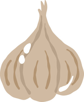 cute garlic onion vegetable vector cartoon illustration