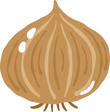 yellow onion vegetable food cartoon vector illustration