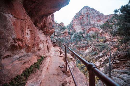 Zion