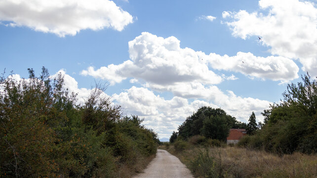 Camino rural de tierra entre &aacute;rboles y casa bajo cielo azul con nubes