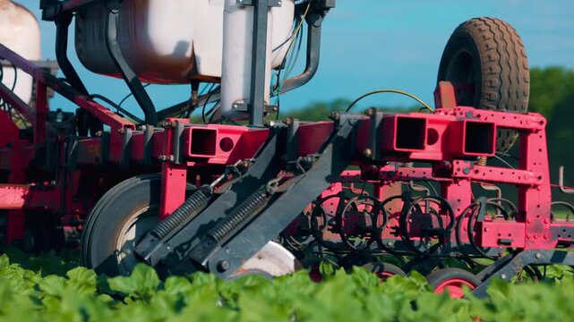 Agricultural Inter-row cultivator performing mechanical cultivation and weed control between rows of young sunflower plants in an agricultural field during the early growing season. slow motion video.