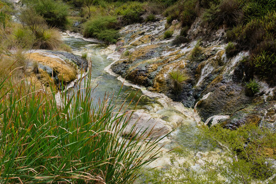 Clam Shell Spring in Waimangu Volcanic Valley - Rotorua, New Zealand