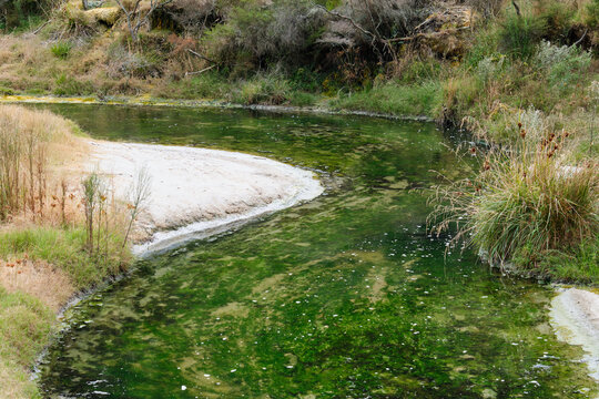 Stream in Waimangu Volcanic Valley - Rotorua, New Zealand