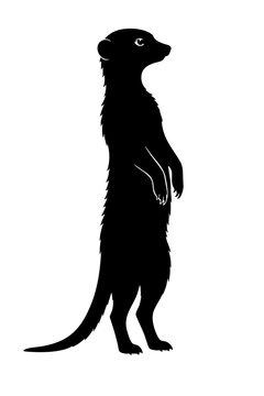 Black Silhouette Illustration Of Meerkat Animal Standing Upright Isolated On White Background