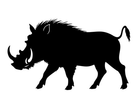 Black Silhouette Illustration Of Warthog Wild Pig Animal Walking Isolated On White Background