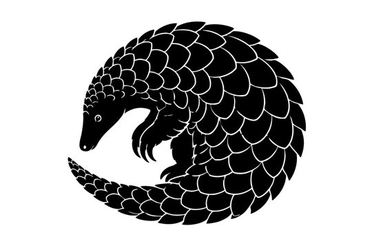 Black Silhouette Illustration Of Pangolin Scaly Mammal Animal Isolated On White Background