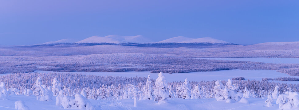 Panoramic view of snow covered trees in the forest with mountains on the horizon. Winter landscape in Lapland, Finland at sunset.