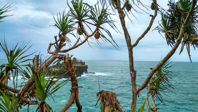 Coastal View Framed by Pandanus Trees at Srau Beach in Pacitan East Java Indonesia