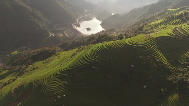 Aerial view of lush green rice terraces at Kim Noi Viewpoint with a reservoir in the background, Mu Cang Chai, Lao Cai, Vietnam.
