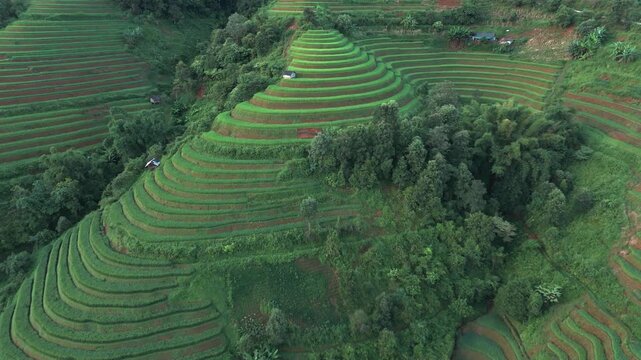 Aerial view of the lush green rice terraces at Kim Noi Viewpoint with small wooden huts nestled among the hills in Mu Cang Chai, Lao Cai, Vietnam.
