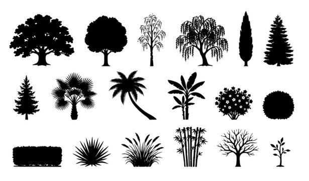 Black Tree and Bush Silhouette Collection with Spruce Palm and Botanical Plants