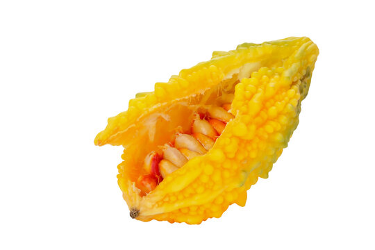 Bitter melon , Bitter gourd isolated on white background. This has clipping path.