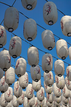 Low Angle View of White Japanese Chochin Lanterns with Sakura Painting