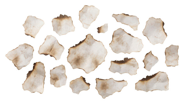 Set of burnt and charred paper scraps isolated on transparent background