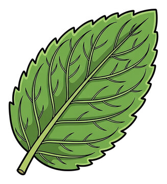 Cartoon-style green leaf with veins, isolated on black
