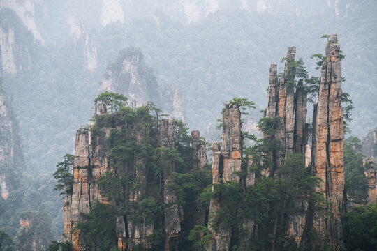 Towering sandstone pillars emerge from mountain mist at Zhangjiajie National Forest Park in China